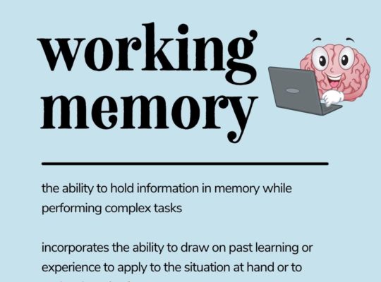 Working memory. the ability to hold information in memory while performing complex tasks incorporates the ability to draw on past learning or experience to apply to the situation at hand or to project into the future
