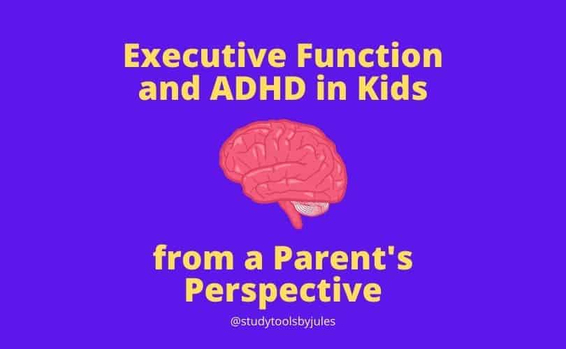 Executive Function and ADHD in Kids from a Parent's Perspective. Image of a brain.
